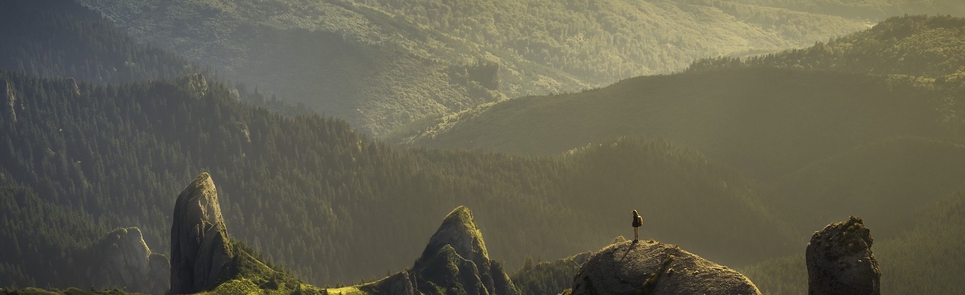 Czemu wypadają włosy